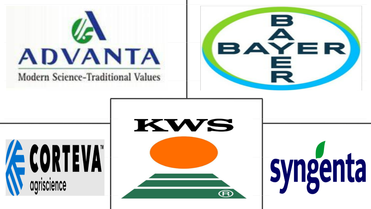 Related Companies Logo