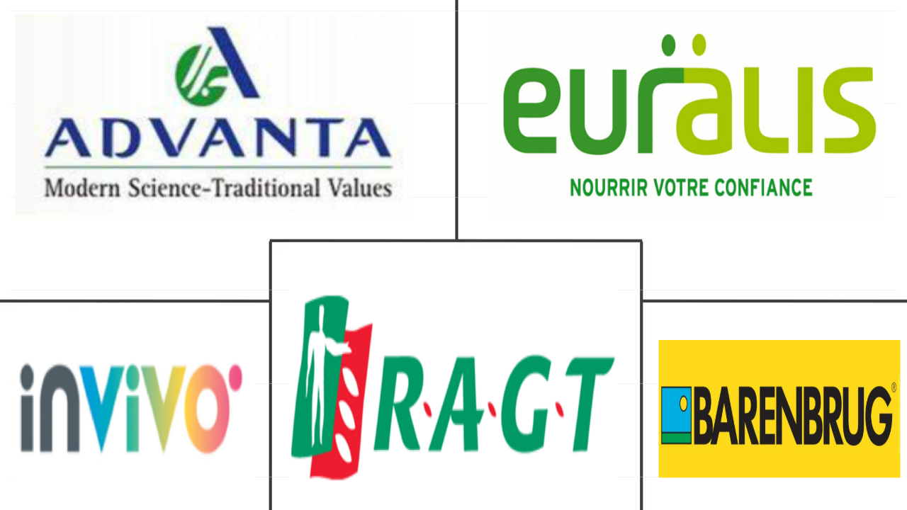 Related Companies Logo