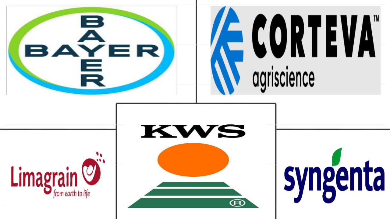 Related Companies Logo