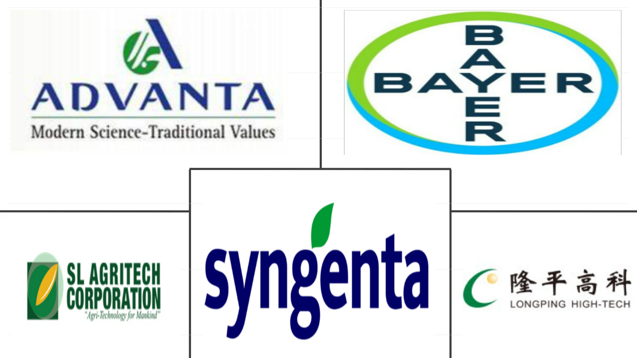 Related Companies Logo