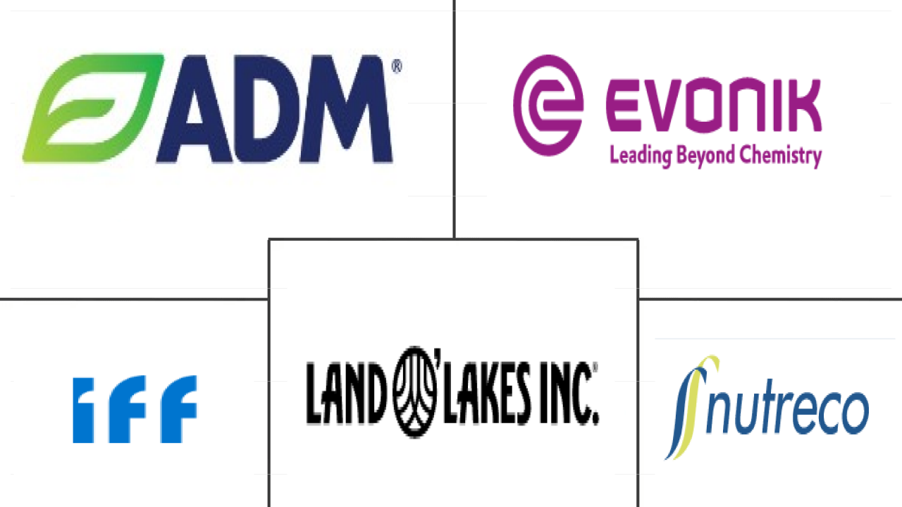 Related Companies Logo