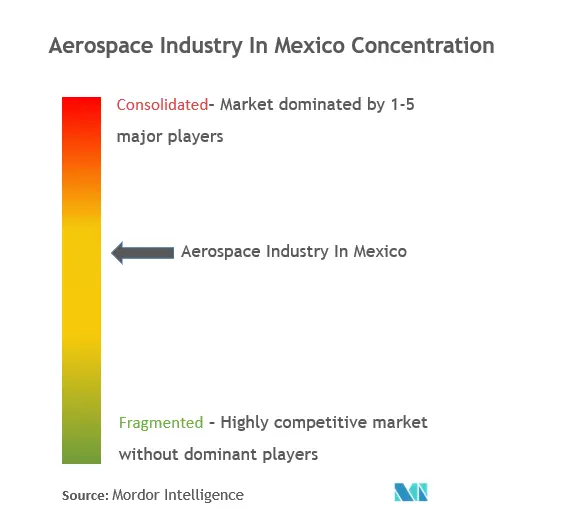 Aerospace Industry In Mexico Concentration Aerospace in Mexico Market Concentration