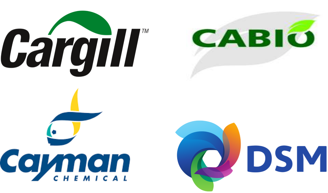 Related Companies Logo