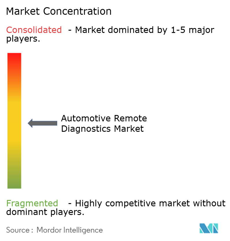 Automotive Remote Diagnostics Market Concentration Automotive Remote Diagnostics Market Concentration