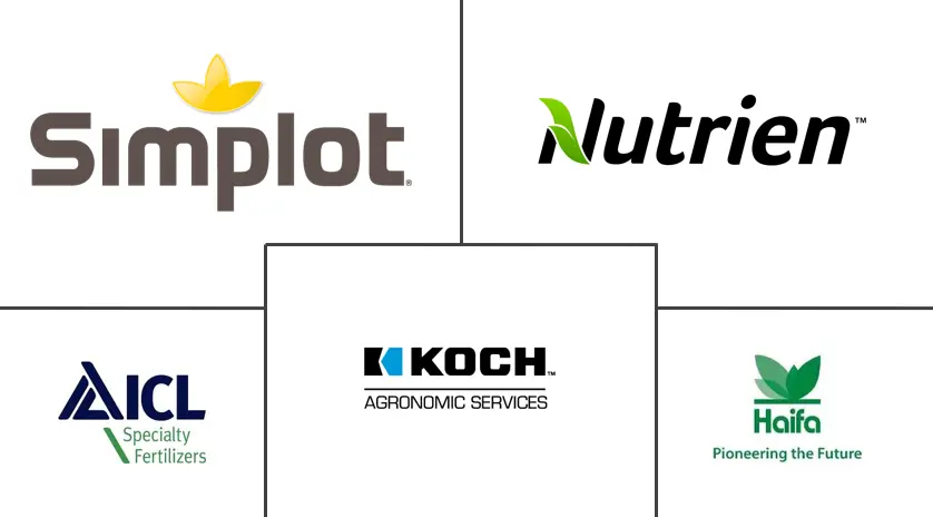 Related Companies Logo