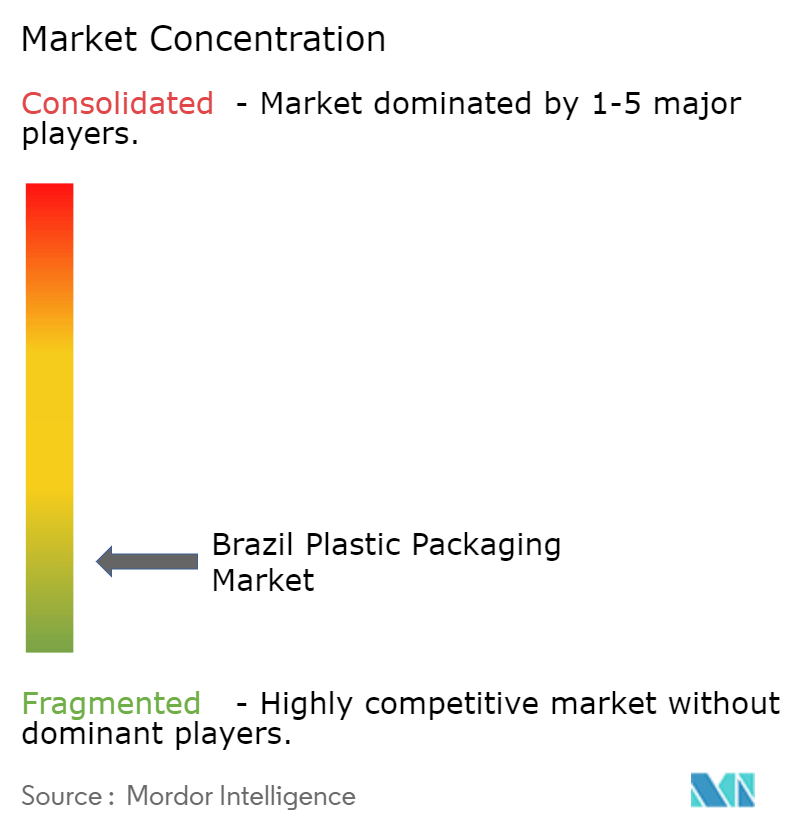 Brazil Plastic Packaging Market Concentration Brazil Plastic Packaging Market Concentration