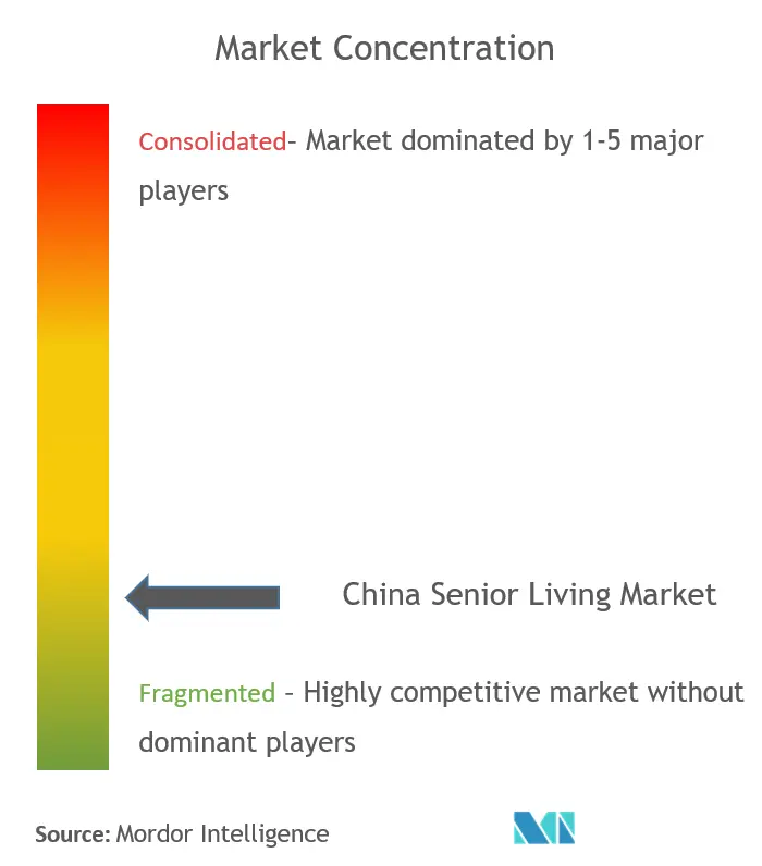 China Senior Living Market Analysis Concentration China Senior Living Market Analysis - Market Concentration