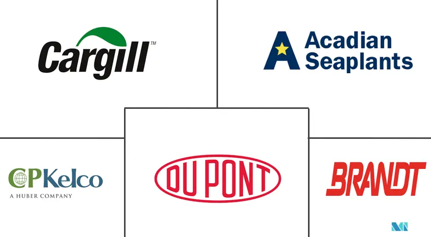 Related Companies Logo