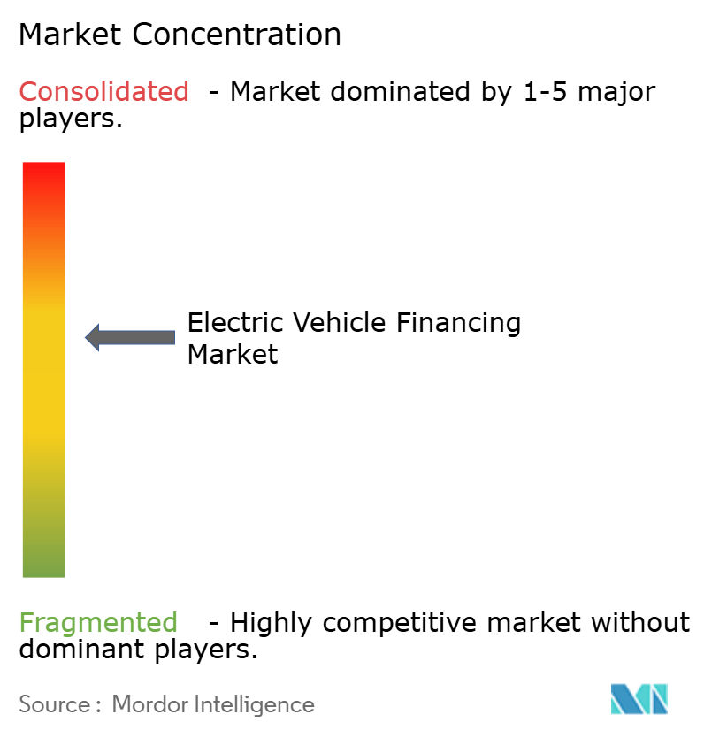 Electric Vehicle Financing Market Concentration Electric Vehicle Financing Market Concentration