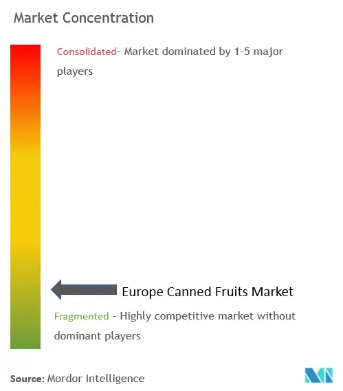 Europe Canned Fruits Market Concentration Europe Canned Fruits Market Concentration