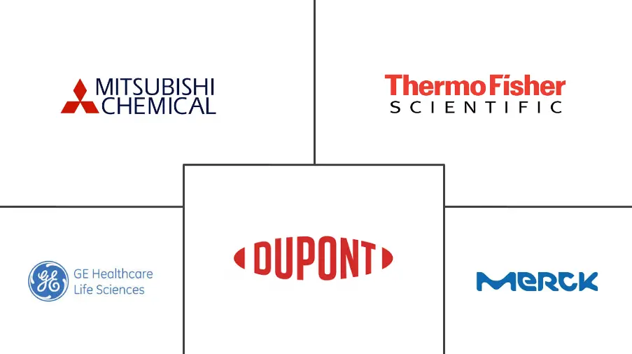 Related Companies Logo