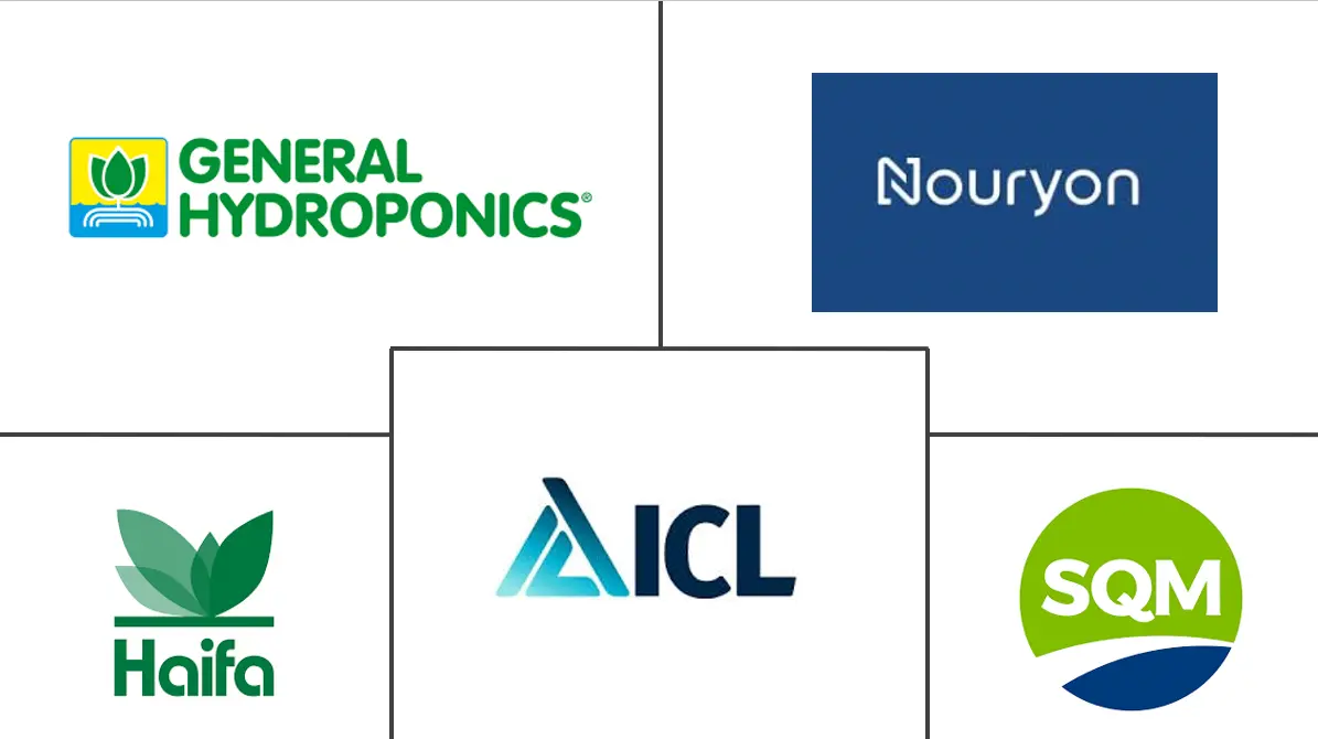 Related Companies Logo