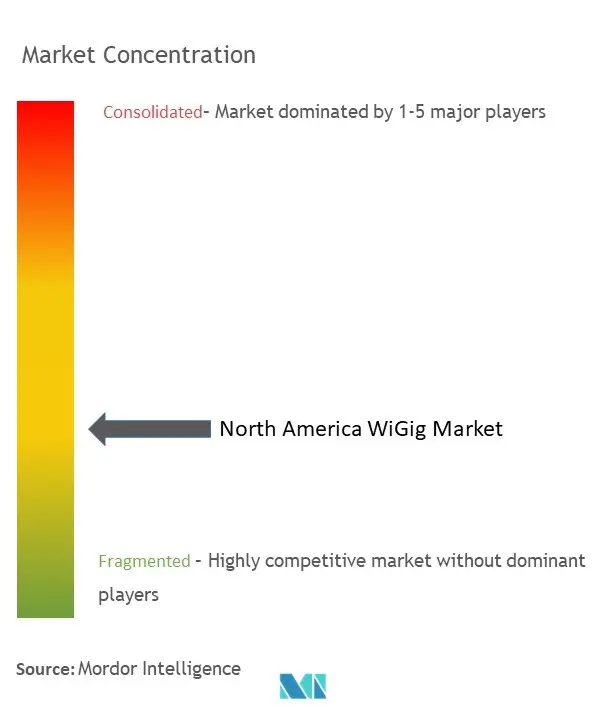 North America WiGig Market Concentration North America WiGig Market Concentration