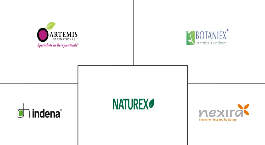 Related Companies Logo