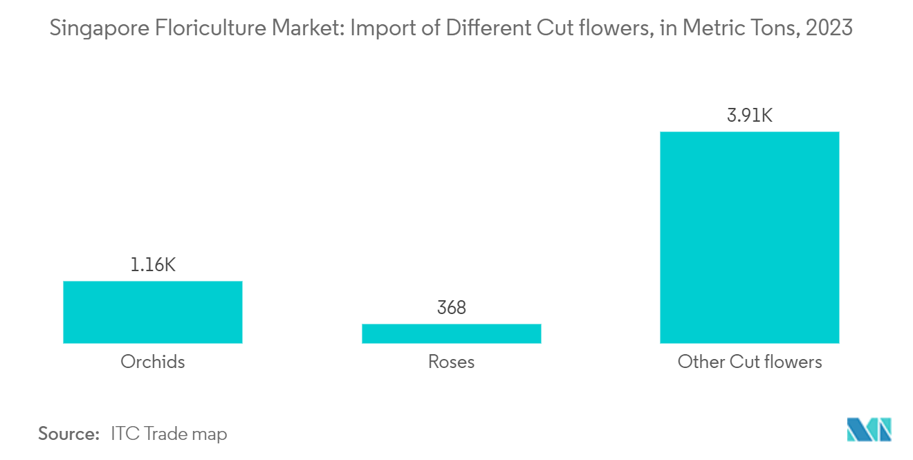 Singapore Floriculture Market Trends Singapore Floriculture Market: Import of Different Cut flowers, in Metric Tons, 2023