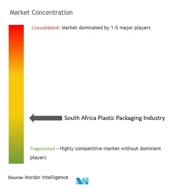 South Africa Plastic Packaging Market Concentration South Africa Plastic Packaging Market Concentration