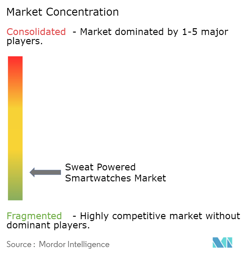 Sweat Powered Smartwatches Market Concentration Sweat Powered Smartwatches Market Concentration