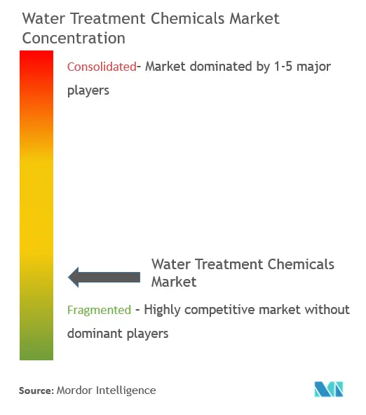 Water Treatment Chemicals Market Concentration Water Treatment Chemicals Market Concentration